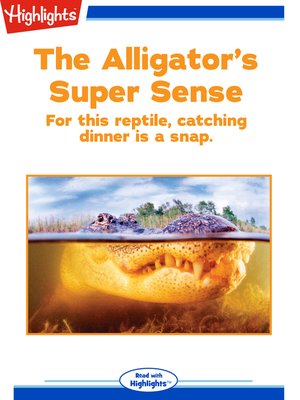 cover image of The Alligator's Super Sense
